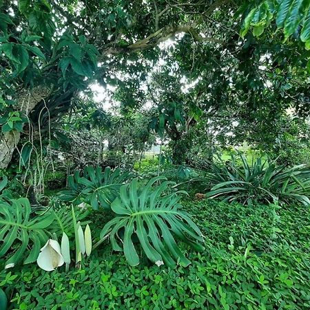 flat em serra negra - bezerros Kültér fotó